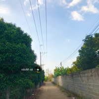 Chủ Muốn Bán Vườn Cây Ăn Trái Long Khánh, Giá Bán 790 Triệu/Sào, Ngân Hàng Có Hỗ Trợ Vay