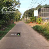 Chủ Muốn Bán Vườn Cây Ăn Trái Long Khánh, Giá Bán 790 Triệu/Sào, Ngân Hàng Có Hỗ Trợ Vay
