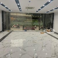 Cho Thuê Tòa Văn Vp Nguyên Căn Có Pccc Sát Kđt Nam Trung Yên.diện Tích100Mx8 Nổi 1 Hầm,Mặt Tiền8M. Giá 110 Triệu