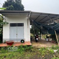 Đất Vườn Mặt Tiền Đường Chu Văn An - Cơ Hội Đầu Tư Khủng Giá Chỉ 1Tỷ2/Sào