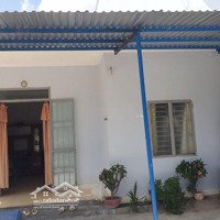 Bán Nhà 242,9M2 Thôn Vĩnh Phú Xã Suối Tân, Cam Lâm
