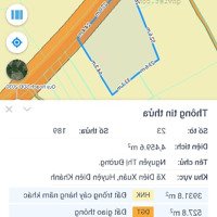 Bán Đất 4459,6M2 Bám Đường 72M. Trục Đường Nhựa Tại Xuân Đồng, Diên Khánh, Khánh Hòa