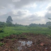 Bán Đấtmặt Tiềnbùi Ngọc Thu, Tương Bình Hiệp, Tdm, Bình Dương