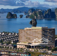 Bán 5 Căn Liền Kề View Biển Dự Án Sonasea Vân Đồn, Đối Diện Khách Sạn, Diện Tích: 95M2, Sổ Đỏ, Giá Bán 8,2 Tỷ