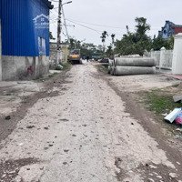 Bán Đất Gần Nhà Văn Hóa Thái Lai, Tân Phong,Kiến Thụy, Hải Phòng.