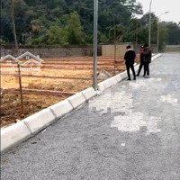 Bán Lô Đất 117M2 Cách Quốc Lộ 21A Chỉ 20M