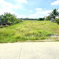 Hàng Ngon Có Thật! Kế Đường Liên Xã, Tân Kim, Cần Giuộc. Gần Kcn. 117M2. Shr, Full Thổ