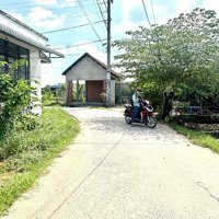 Hàng Ngon Có Thật! Kế Đường Liên Xã, Tân Kim, Cần Giuộc. Gần Kcn. 117M2. Shr, Full Thổ