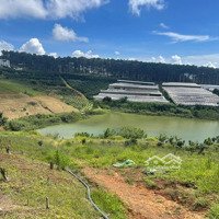 1196M2 Đất Tp. Đà Lạt. View Đập- Đường Bê Tông 5M- Cách Ql 400M. Sổ Riêng.