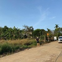 Cần Bán 1178M Đất Vị Trí Đẹp, Phân Lô Tách Thửa Được
