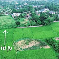 Cần Bán Gấp Lô Nền 2000M2 Tại Liên Sơn - Mặt Tiền 30M Bám Đường - Giá Tốt Chỉ Với 3,8 Tỷ