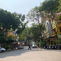 Bán Gấp Biệt Thự Mỹ Đình 2, Ở Víp, Kinh Doanh Tốt, 200M2X4T, Nhỉnh 50 Tỷ