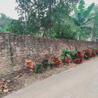 Đón Đầu Xu Thế Hà Nội Mở Rộng Về Phía Tây - Rao Bán Ngay Lô Đất Mặt Tiền 40M Tại Cao Dương Giá Tốt