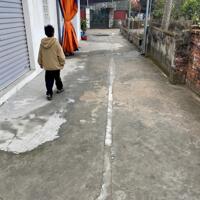 MBD02 : Bán đất ngõ Cát Linh , Tràng Cát , An Hải , Hải Phòng