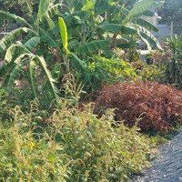 Ba Miếng Đất Thổ Cư Đẹp Khu Dân Cư Hiện Hữu Quy Đức Bình Chánh
