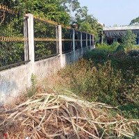 Ba Miếng Đất Thổ Cư Đẹp Khu Dân Cư Hiện Hữu Quy Đức Bình Chánh