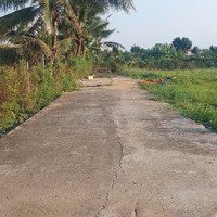 Bán Rẻ 4 Nền Bình Chánh Mới Ra Lò Giá Tốt Đâu Tư