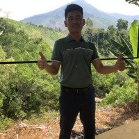 Bán 3Ha Tại Phù Ninh Phú Thọ Đất Công Nghiệp Giá Rẻ Chưa Tới 2 Tr/ Mét