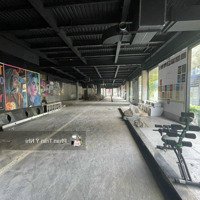Cho Thuê Trệt 10M X 50M Trống Suốt Đường Nguyễn Bỉnh Khiêm