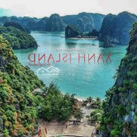 Chính Thức Nhận Booking Dự Án Xanh Iland Cát Bà - Hải Phòng