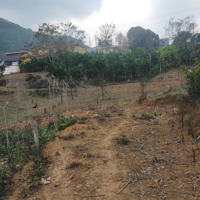 Bán Đất Tại Cao Sơn, 1 Tỷ, 2200M2, Pháp Lý Đầy Đủ, Phong Thủy Tốt