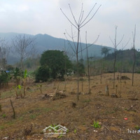 Bán Đất Tại Cao Sơn, 1 Tỷ, 2200M2, Pháp Lý Đầy Đủ, Phong Thủy Tốt