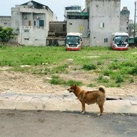 Cần Bán Lô Đất Biển Sầm Sơndiện Tíchhơn 600M2, Sẵn Sổ. 100M Ra Tới Biển. Ngay Bên Quảng Trường Biển