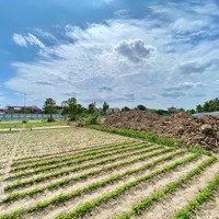 Đấu Giá Đông Anh Giá Cực Hấp Dẫn Chỉ 54 Triệu - 90M2 Đường Ô Tô Tránh Sẻ Khe.