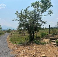Bán Đất Siêu Hot Tại Ninh Xuân, Ninh Hòa, Khánh Hòa, 330 Triệu, 243 M2