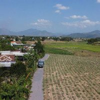 Bán Đất Siêu Hot Tại Ninh Xuân, Ninh Hòa, Khánh Hòa, 330 Triệu, 243 M2
