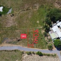 Bán Đất Siêu Hot Tại Ninh Xuân, Ninh Hòa, Khánh Hòa, 330 Triệu, 243 M2