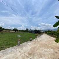 Đất Sào Cam Hiệp Nam Đầu Tư Hôm Nay, Lợi Nhuận Ngày Mai