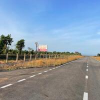 Bán 10.000m2 đất có thanh long gần Novaworld Phan Thiết