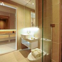 Booking The Gió Giai Đoạn 1 - Giỏ Hàng Độc Quyền Từ Cđt, Booking 50 Triệu Ck 50 Triệu Và Quà Tặng