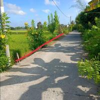 2 công đất xã Nhơn Thạnh Trung, TP Tân An tỉnh Long An