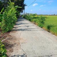 2 công đất xã Nhơn Thạnh Trung, TP Tân An tỉnh Long An
