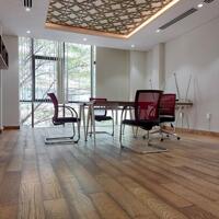 Cần bán gấp nhà 2 MT Lạc Long Quân DT 5,4m x 26m, vị trí KD đa ngành, giá 20 tỷ TL