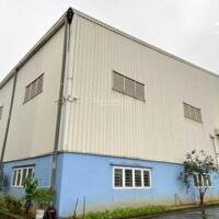 Bán nhà xưởng đang xây dựng 15.000 m2 tại Tân Hiệp, Phú Giáo, Bình Dương.