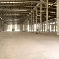Bán nhà xưởng 24.500m2 giá chỉ 122 tỷ -KCN Nhơn Trạch-Đồng Nai