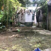 BÁN LÔ ĐẤT ĐƯỜNG NGUYỄN CÔNG TRỨ PHƯỜNG PHÚ HỘI QUẬN THUẬN HÓA TP HUẾ Diện tích 80m2 ngan 5m