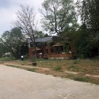 BÁN LÔ ĐẤT ĐƯỜNG NGUYỄN CÔNG TRỨ PHƯỜNG PHÚ HỘI QUẬN THUẬN HÓA TP HUẾ Diện tích 80m2 ngan 5m