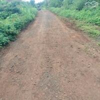 Bình Thuận-Buôn Hồ lô đất 3200m2 full tiêu và cà phê cho thu hoạch mạnh mặt tiền miên man 80m ngang giá chỉ 660tr