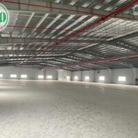 Cho thuê nhà xưởng 11.000 m2 trong KCN Đại Đăng, Thủ Dầu Một, Bình Dương