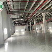 Cho thuê nhà xưởng 11.000 m2 trong KCN Đại Đăng, Thủ Dầu Một, Bình Dương