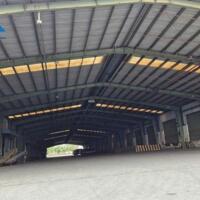 Cho thuê kho xưởng 3000m2 giá chỉ 210 triệu. KCN Biên Hòa-Đồng Nai