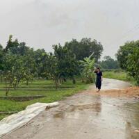 Bán đất Bảo Hiệu, Yên Thuỷ, Hoà Bình giá chỉ 255tr có ngày 180m (thổ cư: 50m)