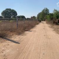 CHỦ NGỘP _CẮT LỖ 1100M2 ,24X47M VIEW NÚI XÃ TAM PHƯỚC - LONG ĐIỀN .BRVT