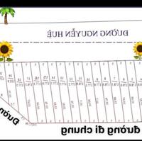 F0 - SỈ LẺ 21 LÔ ĐƯỜNG NHỰA NGUYỄN HUỆ - XÃ PHƯỚC LONG THỌ - H LONG ĐẤT