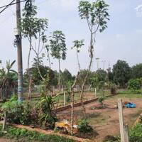 Đất an cư, đầu tư cho thuê sát KCN Phước Đông 174m2 giá 400tr Trảng Bàng, Tây Ninh