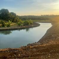 Bán 6.000m2 Đất CLN Giá Ngộp – Phường Khánh Xuân, Buôn Ma Thuột